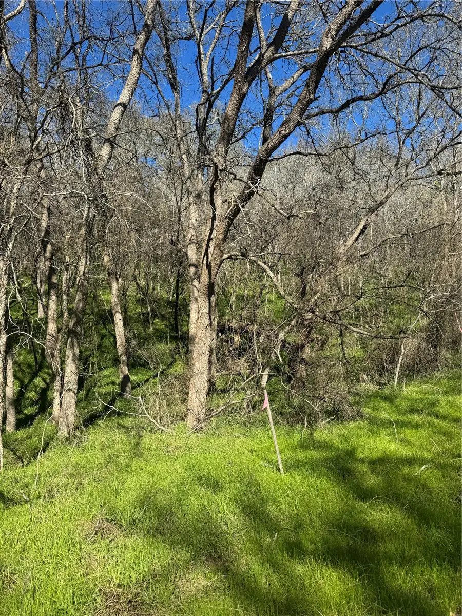 Lots 638. 639. 640 Kaukonahua Ln, Bastrop, TX 78602 - Image #2