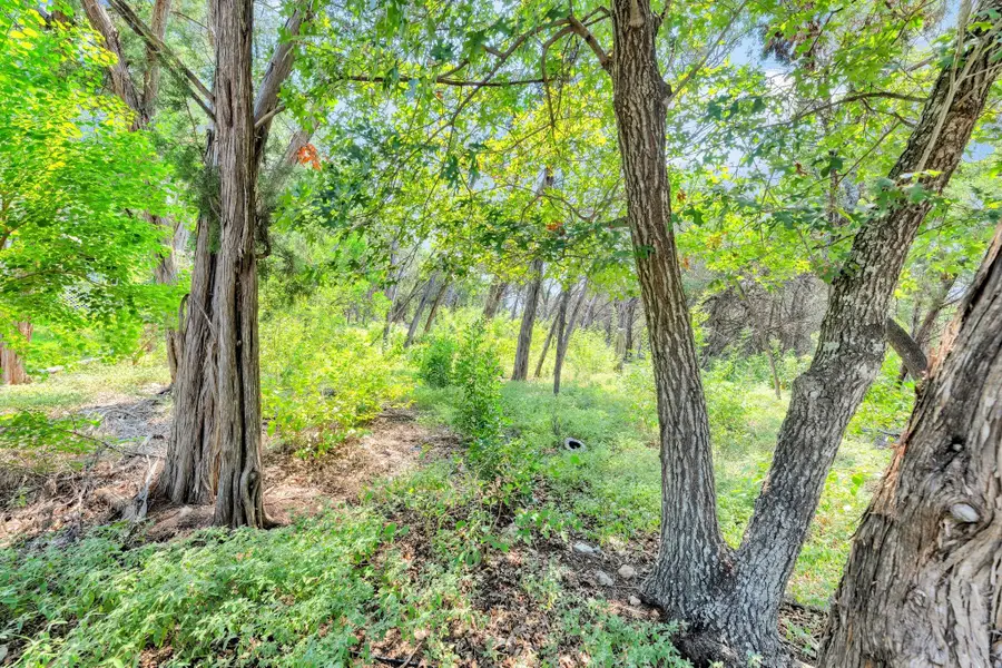 106 Tamarac Ct, Lakeway, TX 78734 - Image #3