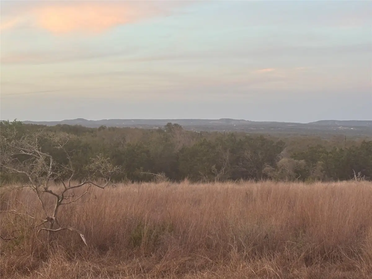 768 Tiswin Trl, Blanco, TX 78606 - #1