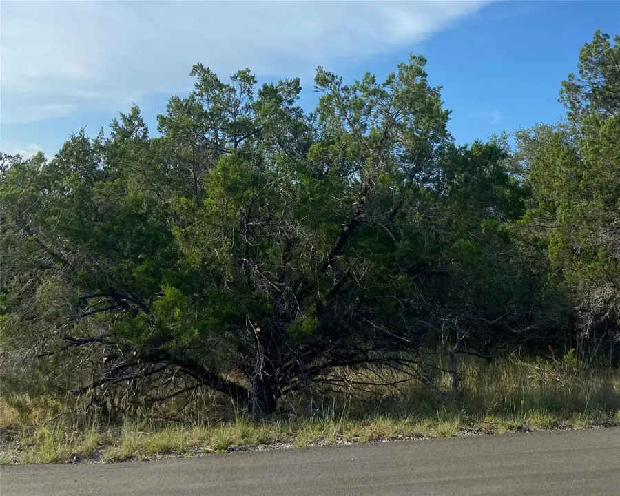 21501 Santa Elena Cir, Lago Vista, TX 78645 - #3