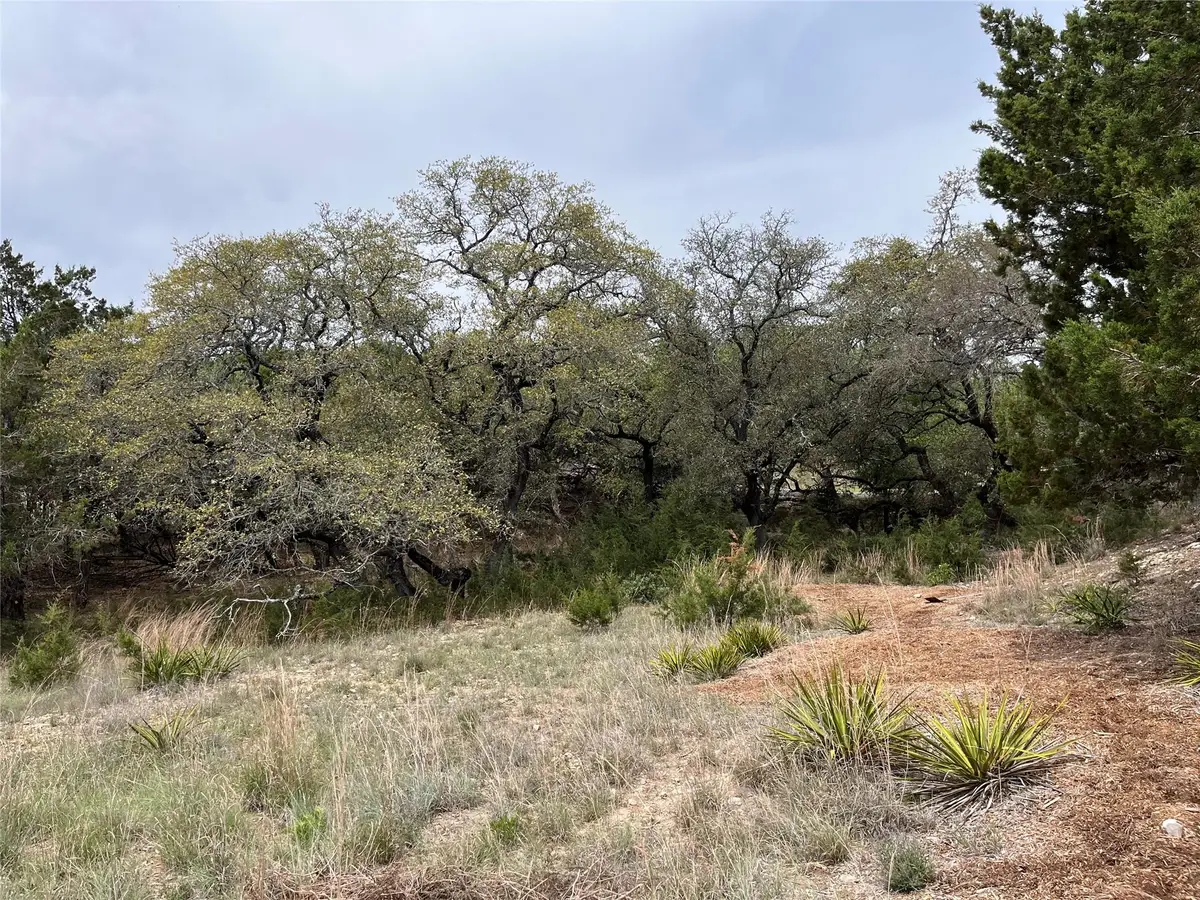 20715 Harrison Cv, Lago Vista, TX 78645 - #1