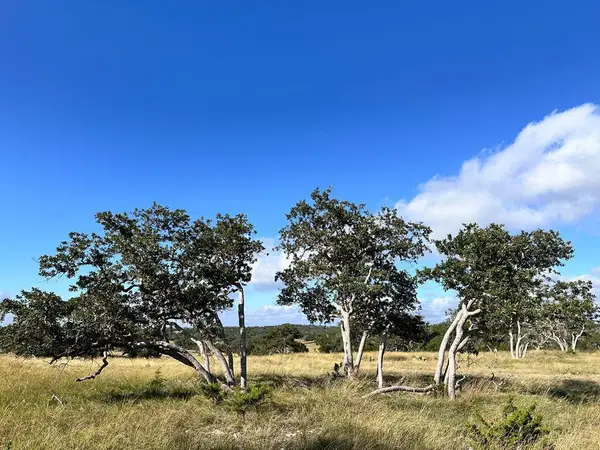 Lot 41 Buckskin Path Path, Fredericksburg, TX 78624