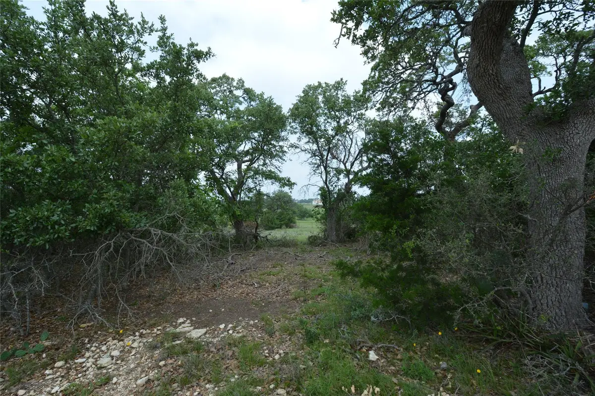 134 W Pat Dolan, Blanco, TX 78606 - Image #1