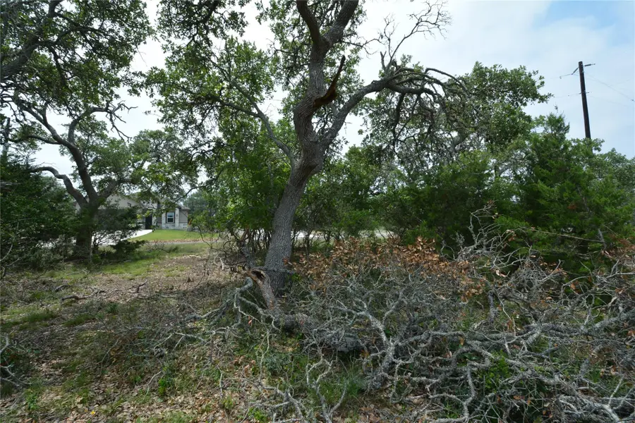 134 W Pat Dolan, Blanco, TX 78606 - Image #3