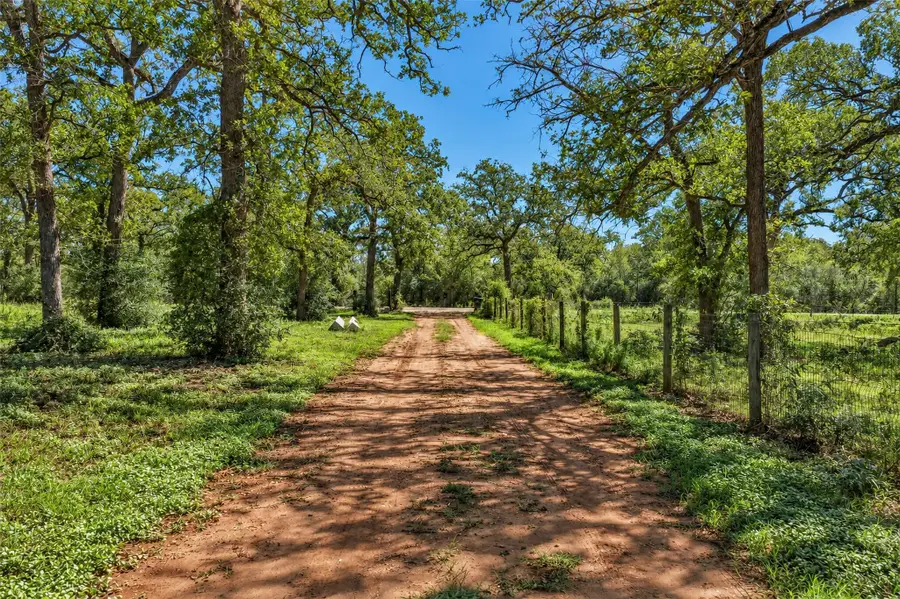 1208 Jeddo Rd, Rosanky, TX 78953 - #2