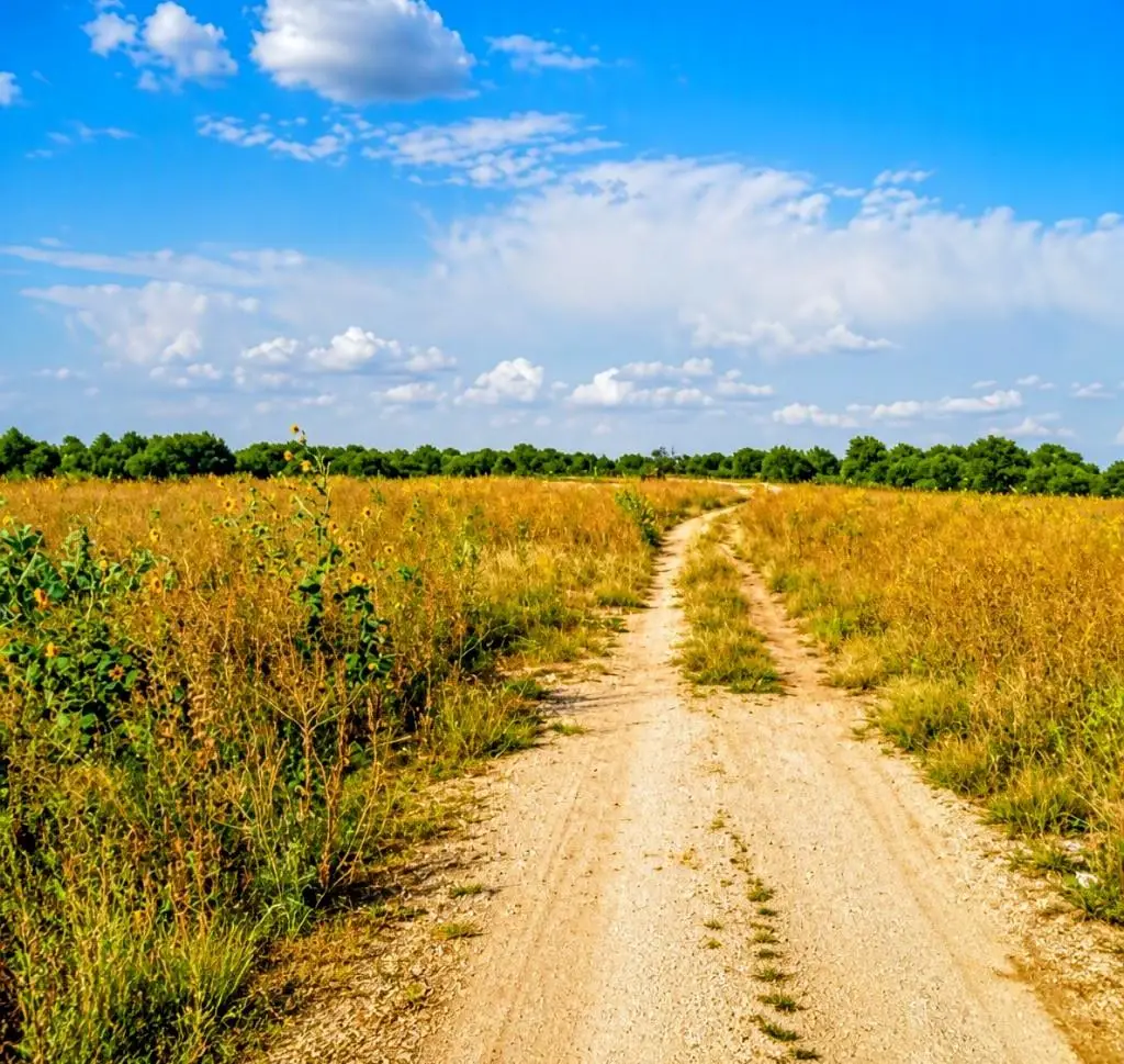 12230 Highway183 Highway, Florence, TX 76527 - #1