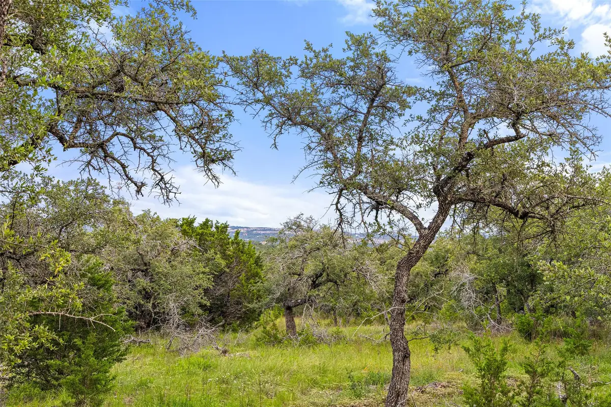 31860 Mirela Ann Rd, Dripping Springs, TX 78620 - #1