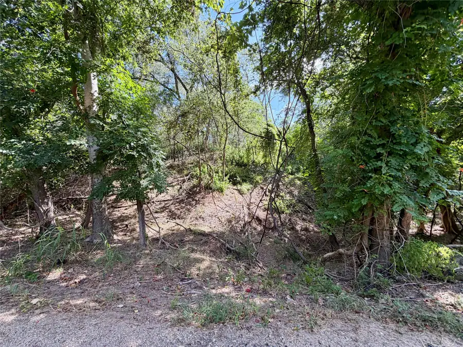 342 Riverside Dr, Bastrop, TX 78602 - #2