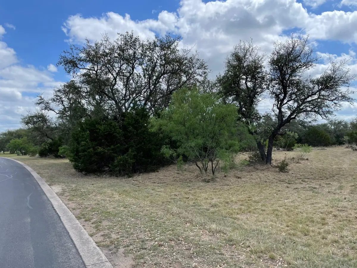302 Vista View Trl, Spicewood, TX 78669 - #1