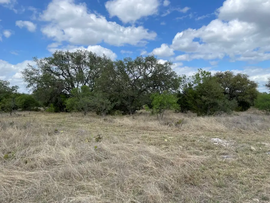 302 Vista View Trl, Spicewood, TX 78669 - #3