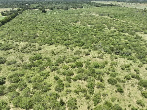 TBD Lot 10 Young Ln, Lockhart, TX 78662