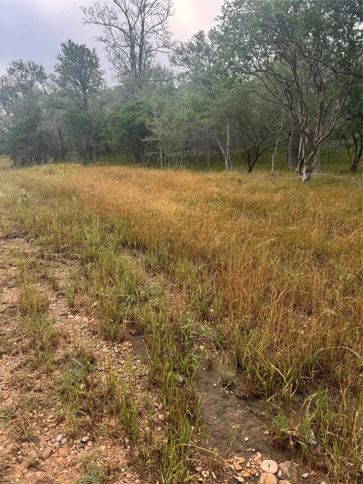 107 Hauula Ct, Bastrop, TX 78602 - Image #1