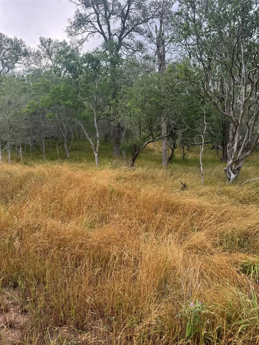 107 Hauula Ct, Bastrop, TX 78602 - Image #3