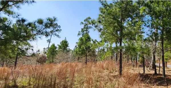 TBD Oahu Ct, Bastrop, TX 78602