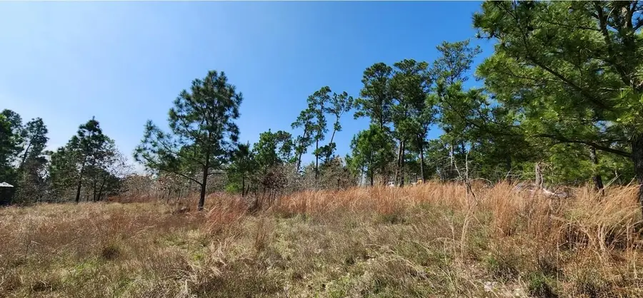 TBD Oahu Ct, Bastrop, TX 78602 - Image #2