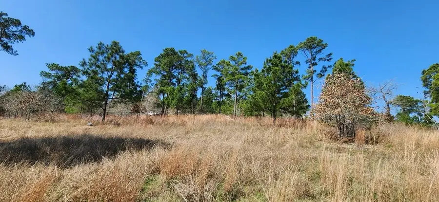 TBD Oahu Ct, Bastrop, TX 78602 - Image #3