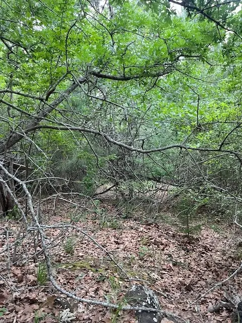 Lot 1603 Ulupau Cir, Bastrop, TX 78602
