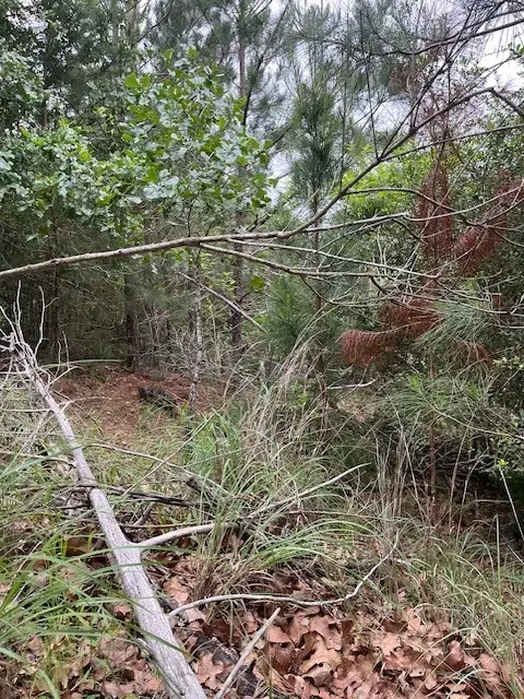 Lot 1603 Ulupau Cir, Bastrop, TX 78602 - Image #2