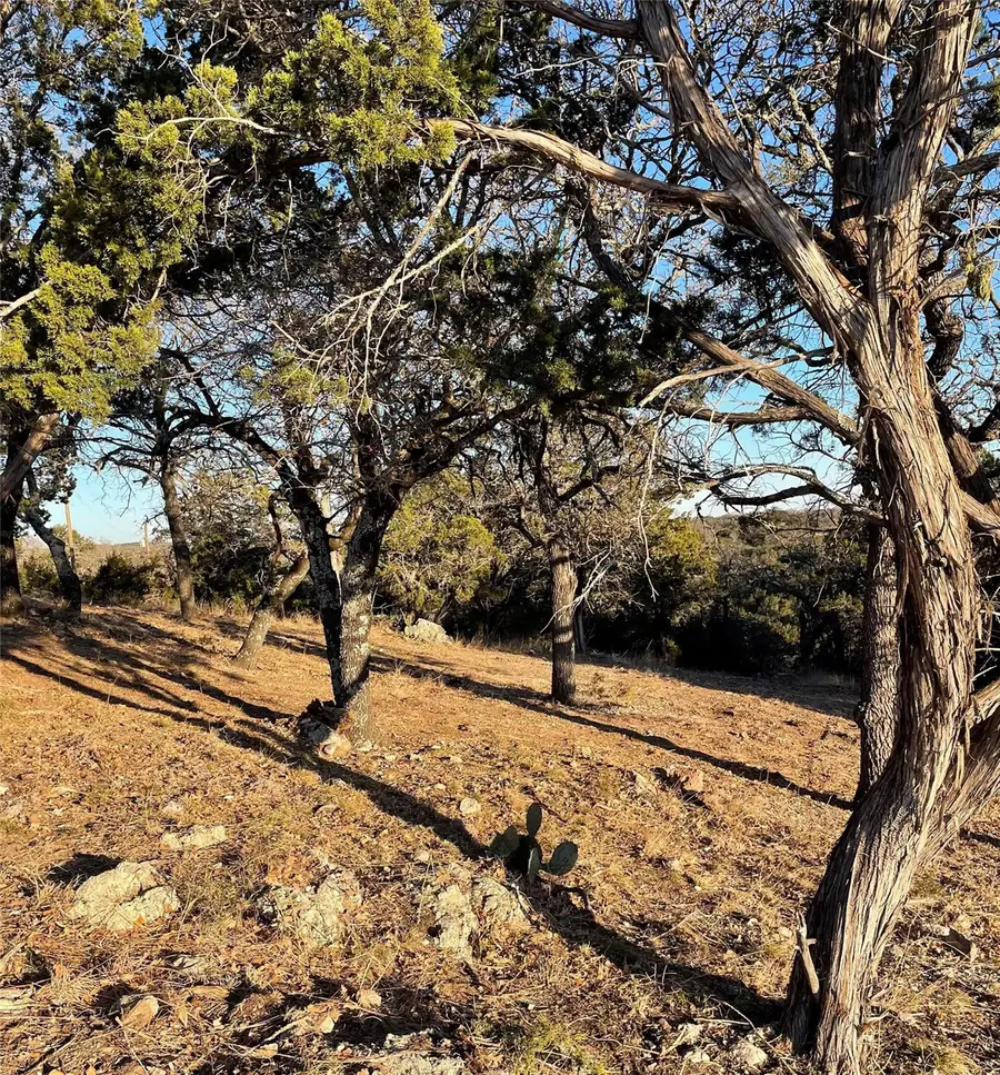 375 Antler Lane Ln, San Saba, TX 76877 - Image #2