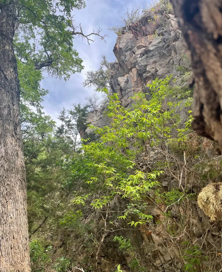 375 Antler Lane Ln, San Saba, TX 76877 - Image #3