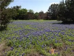 Lot 5-A Ridge Harbor Dr, Spicewood, TX 78669 - #3
