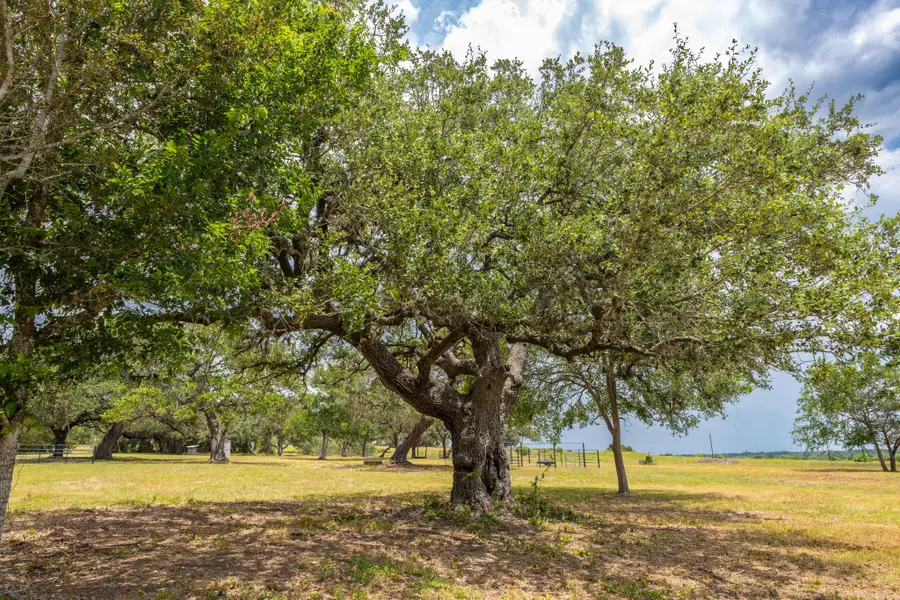 2160 (Tract #5) Baca Loop, Flatonia, TX 78941 - #2
