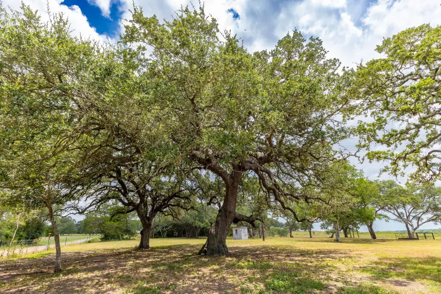 2160 (Tract #5) Baca Loop, Flatonia, TX 78941 - #3
