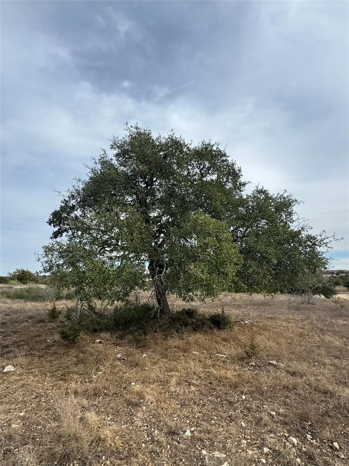 116 Legacy Hills Dr, Johnson City, TX 78636 - #1