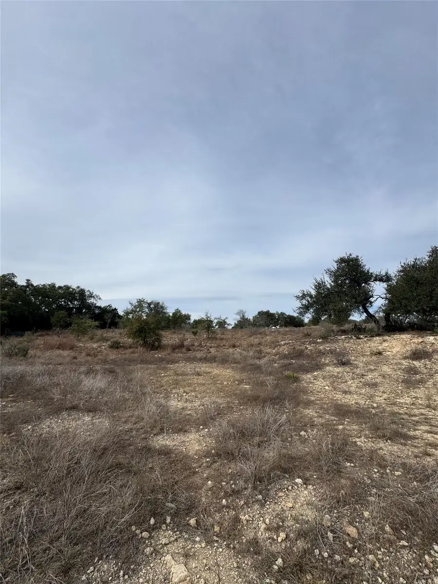 116 Legacy Hills Dr, Johnson City, TX 78636 - #3