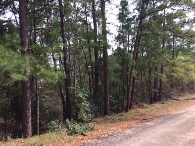 152 Molokini Dr, Bastrop, TX 78602 - Image #2