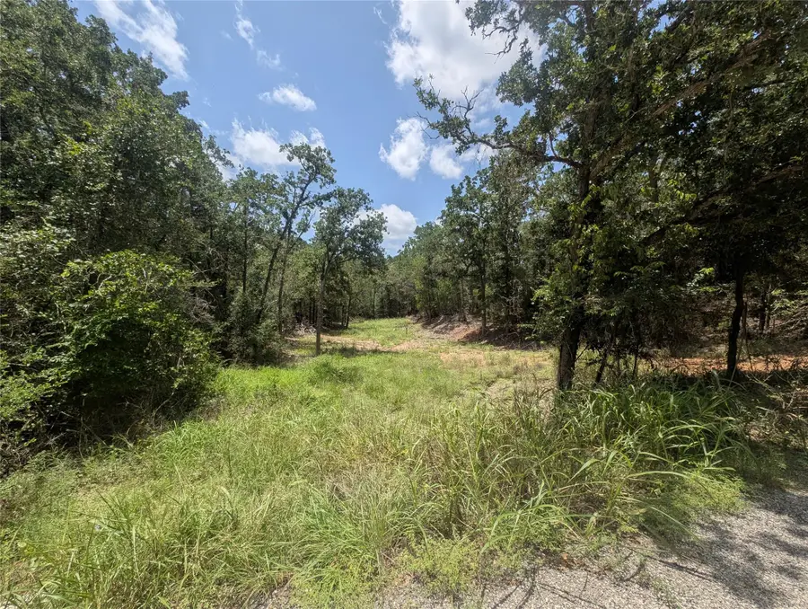 160 Wailupe Cir, Bastrop, TX 78602 - Image #2