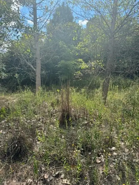 Lot 1338 Tahitian Dr, Bastrop, TX 78602 - #2