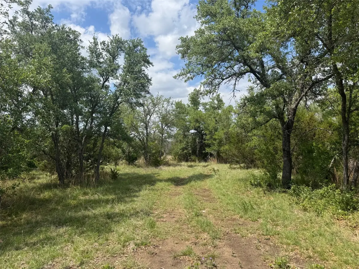 Lot 41 Maverick Way, Briggs, TX 78608 - #1