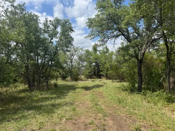 Lot 41 Maverick Way, Briggs, TX 78608
