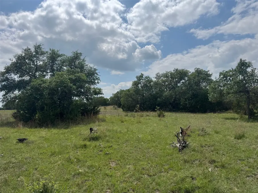 Lot 41 Maverick Way, Briggs, TX 78608 - #3