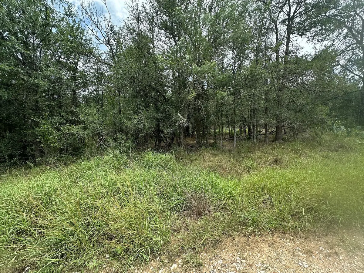 187 Puu Waa Waa Ln, Bastrop, TX 78602 - Image #1