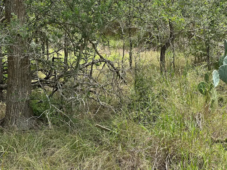 187 Puu Waa Waa Ln, Bastrop, TX 78602 - Image #3