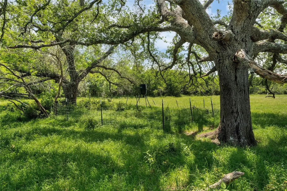 4207 County Road 444, Waelder, TX 78959 - Image #1