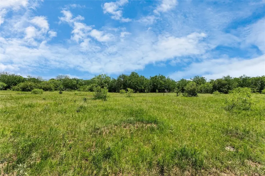 4207 County Road 444, Waelder, TX 78959 - Image #3