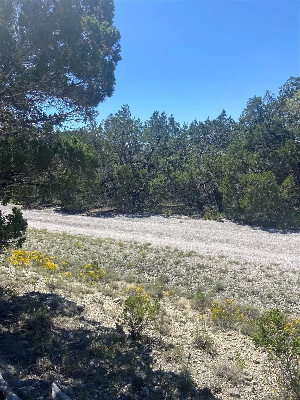 20702 Appaloosa Trl, Lago Vista, TX 78645 - #1