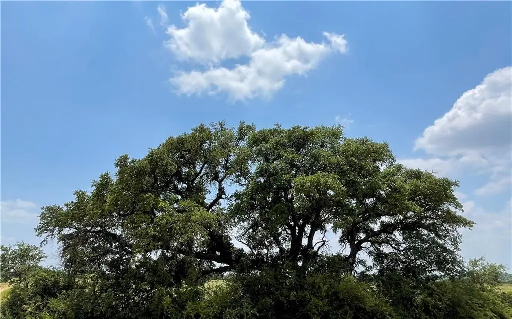 0 377 S. Highway, Brookesmith, TX 76827 - Image #1