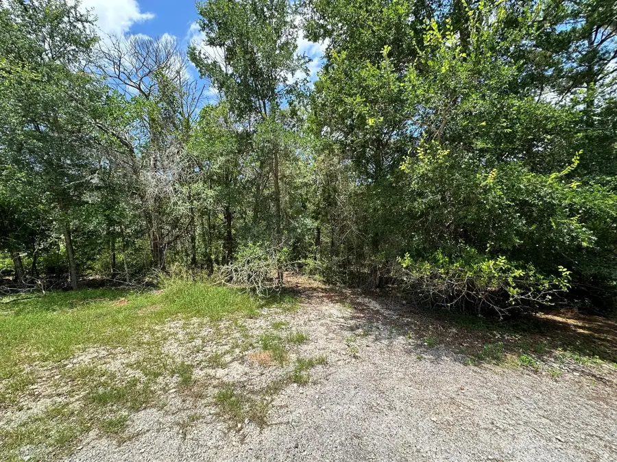 TBD Oah Ct, Bastrop, TX 78602 - #2