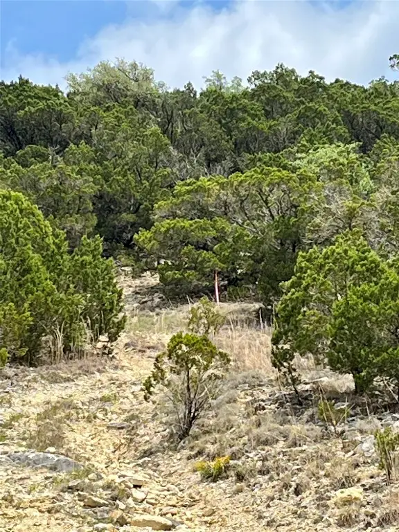 8904 Wagoner Cv, Lago Vista, TX 78645 - Image #2