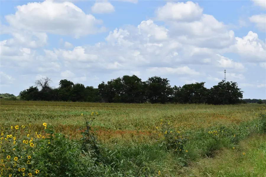 TBD County Road 109, Buckholts, TX 76518 - Image #2