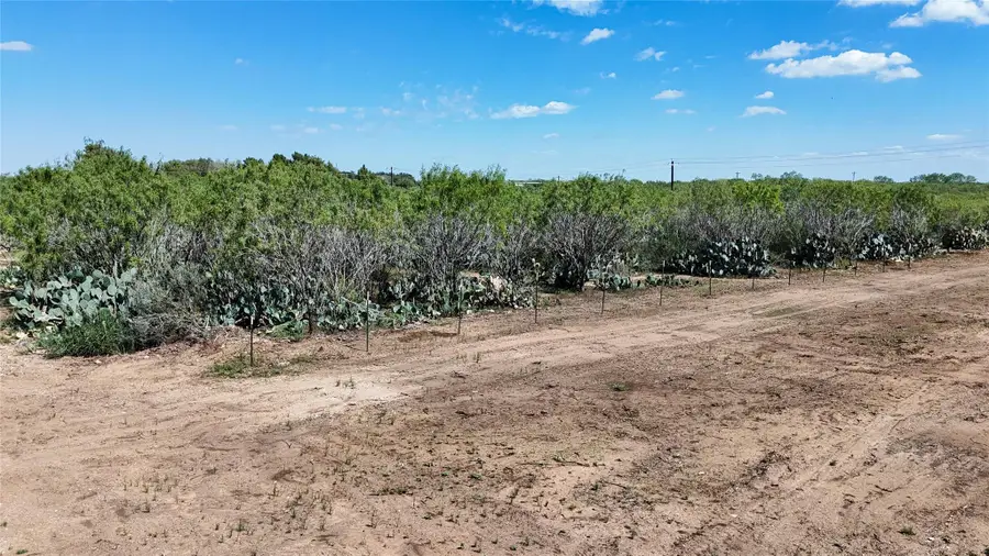 Lot 1 County Road 422, Pleasanton, TX 78064 - #2