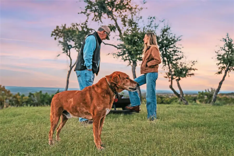 3300 Fm 165 - Lot 10b, Dripping Springs, TX 78620 - Image #3