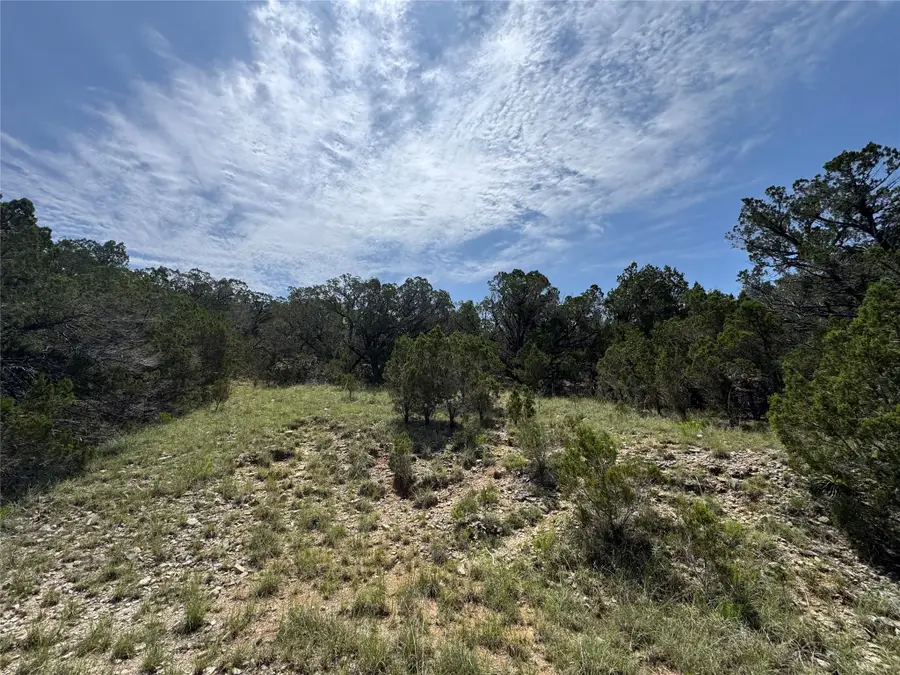 21201 La Paloma Dr, Lago Vista, TX 78645 - #3