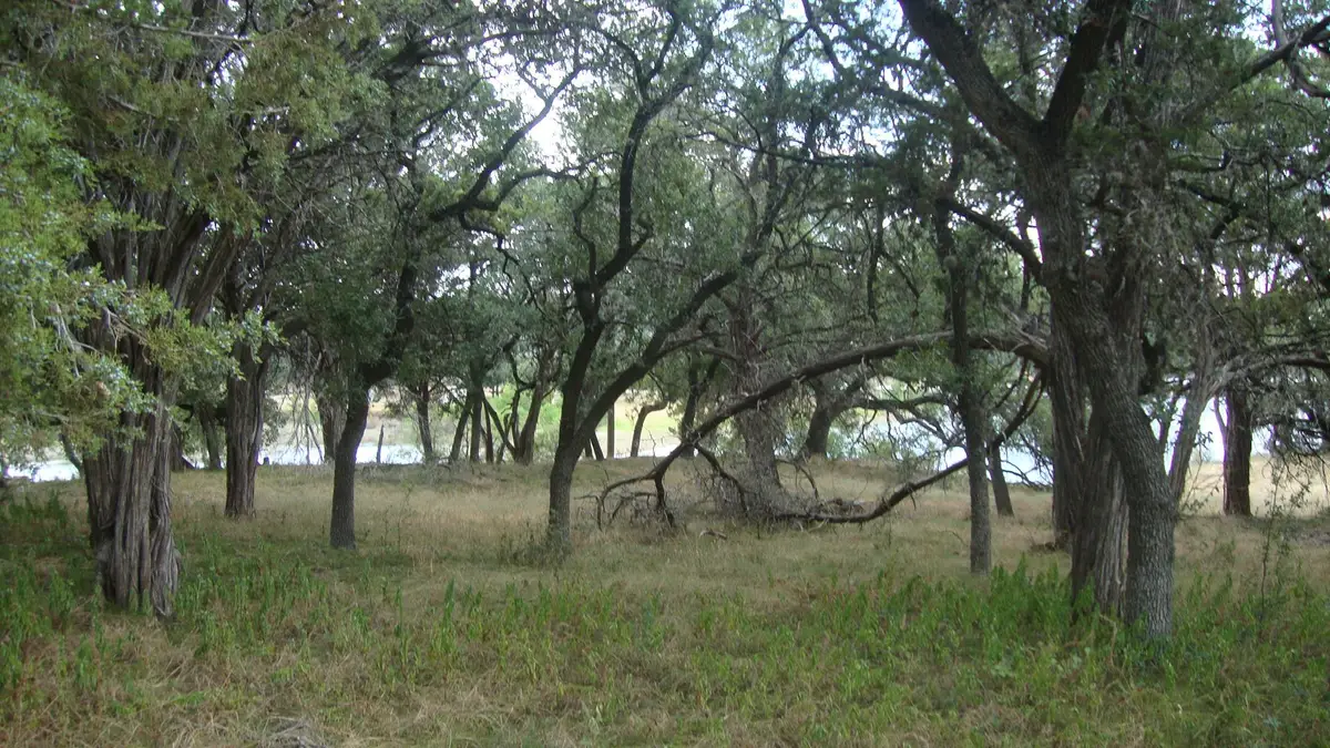 6703 Bar K Ranch Rd, Lago Vista, TX 78645 - #1