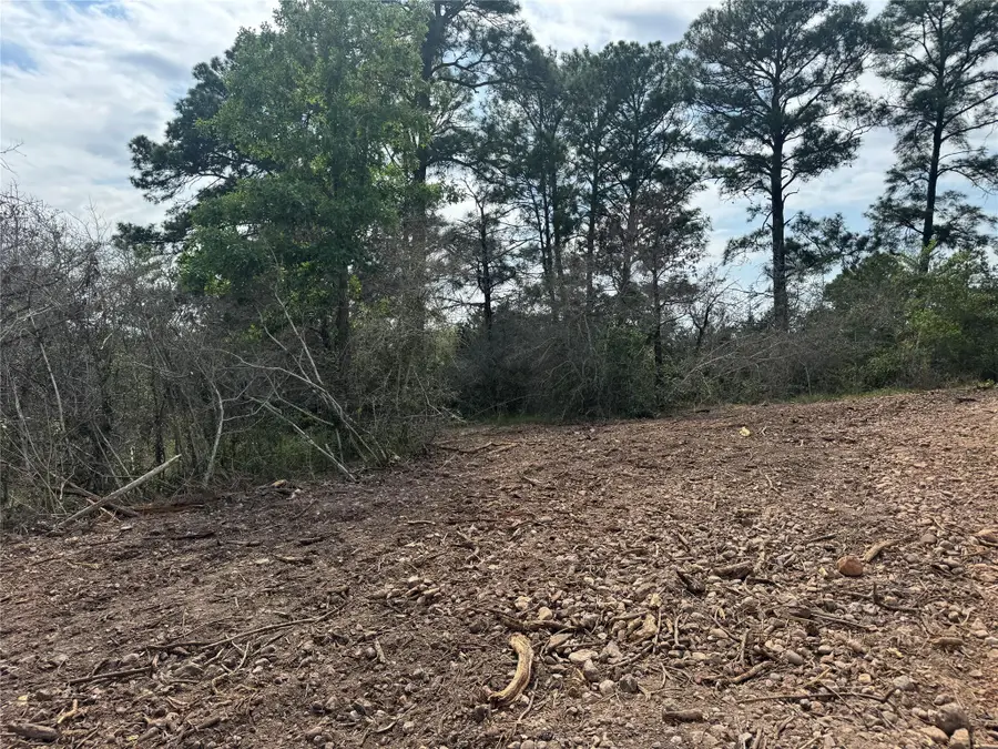 Lots 1263, 1264, 1265 Hanauma Dr, Bastrop, TX 78602 - Image #3