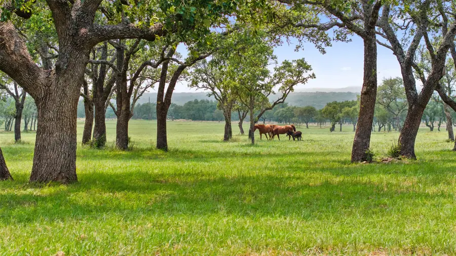 3431 Klett Ranch Road, Johnson City, TX 78636 - Image #3